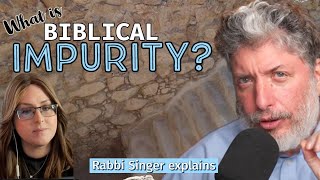 Whats Up With Ritual Immersion Rabbi Tovia Singer explains what mikveh is about [upl. by Dray]