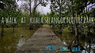 a walk at kuala selangor nature park  uncle slow walk [upl. by Varuag687]