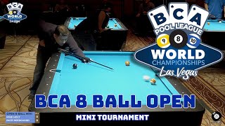 BCA Open 8Ball Mini Nate Neergaard vs Mike Holt [upl. by Frendel]