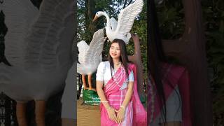 New Chakma song video Chakma new music song video short shortvideo 🥰 [upl. by Tailor387]