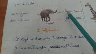 وضعية ادماجية عن الفيل لغة فرنسية سنة خامسة ابتدائي léléphant [upl. by Ardiedal]