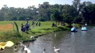 Visita ao Parque Ecológico do Tietê em São Paulo SP [upl. by Nimra345]