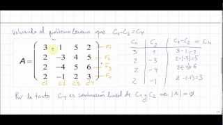 Cálculo del determinante de una matriz  Examen de matemáticas Turismo UNED [upl. by Suired]