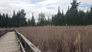 Ken Reid Conservation Area  The Hike [upl. by Vlad300]