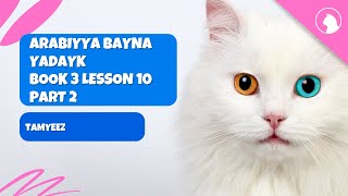 Arabiyya Bayna Yadayk  Unit 10  Part 2  Tamyeez [upl. by Sille]