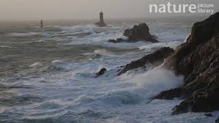 Winter storm at the Pointe du Raz in Finistere with the Vieille Lighthouse Brittany France [upl. by Anemix]