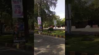 Mall Road Lahore [upl. by Ilysa13]