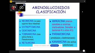 Aminoglucosidos y quinolonas [upl. by Dun]