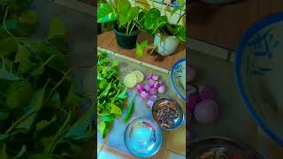 Srilankan Gotkola sambol  healthy  easy to make  AzaRuzai vlogs [upl. by Eitsim]