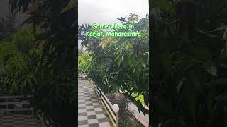 Madhuban resort Karjat Maharashtra nature mumbai travel resort viralvideo viralshorts trip [upl. by Zailer61]