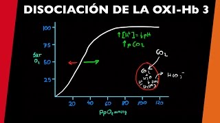 Curva de disociación de oxihemoglobina 3  visita mi Podcast y aprende Medicina mientras descansas [upl. by Becker]