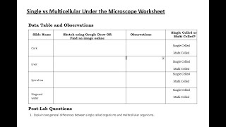 Single vs Multicellular Microlab Worksheet Instructions [upl. by Lluj]