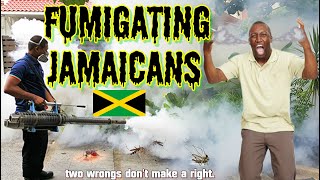 Fumigating Jamaicans [upl. by Dloraj784]