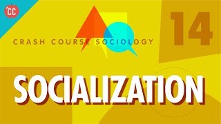 Socialization Crash Course Sociology 14 [upl. by Gertrud]