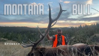 ELK HUNTING  Montana Rifle Season Bull hunting [upl. by Baynebridge478]