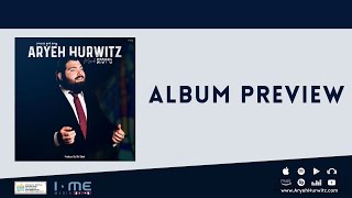 Album Preview Aryeh Hurwitz  Mezinke  אריה לייב הורוויץ – מיזינקע [upl. by Georgena]