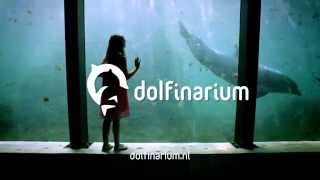 Dolfinarium [upl. by Terra]