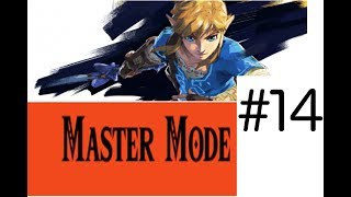 Lets Play TLOZ BOTW Master ModePart 14 [upl. by Angelle]