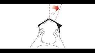 Head Impulse Test In Practice  Demonstration  2015 [upl. by Cut]