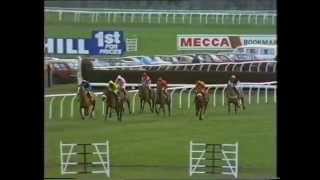 1986 Top Rank Christmas Hurdle [upl. by Ck]