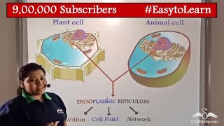 Endoplasmic Reticulum and Ribosomes  Cells  Class 9  CBSE  NCERT  ICSE [upl. by Shirah]