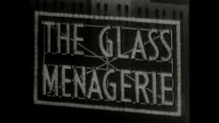 THE GLASS MENAGERIE 1950 Original Theatrical Trailer [upl. by Scarrow93]