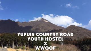 wwoofing at Yufuin Country Road Youth Hostel [upl. by Dnumsed]