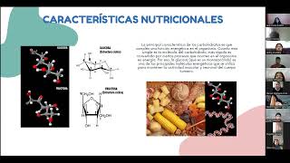 LOS CARBOHIDRATOS [upl. by Dolley]