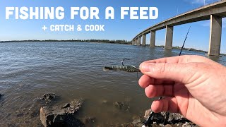 FISHING for a FEED  CATCH AND COOK [upl. by Glynas]