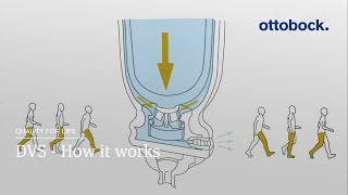 Dynamic Vacuum System DVS – How it works  Ottobock [upl. by Cerelia901]