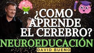 🧠🤓 ¿COMO APRENDE EL CERBERO  NEUROEDUCACIÓN NEUROCIENCIA Dr DAVID BUENO  VERSIÓN COMPLETA [upl. by Nomead128]