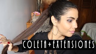 Cola de Caballo Alta y Con Extensiones de Clip  coleta con extensiones [upl. by Jahdal]