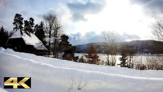 Zugfahrt mit der Dreiseenbahn im Winter 2021  von Seebrugg nach Titisee  Hochschwarzwald 🇩🇪 [upl. by Sophia]