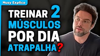 HIPERTROFIA Treinar dois grupos musculares por dia atrapalha  Muzy Explica [upl. by Alema]