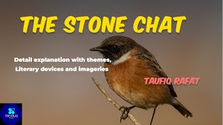 The Stone Chat by Taufiq Rafat  Taufiq Rafat  Stone chat  Detail Explanation  The Atlas of Ideas [upl. by Ayoral607]