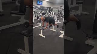 Bird Dog  Row Unconventional Exercise fitnessmotivation podcast trainhardtostayfit [upl. by Htebzile]