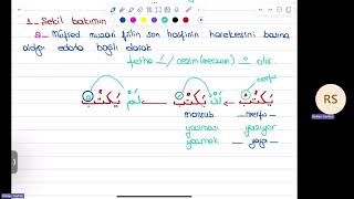 Muzari Fiilin Mansub ve Meczum Hali 33Ders education nasb meczum ilahiyat keşfet [upl. by Annawahs]