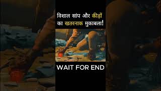 Movie Explained In Hindi Shorts movieexplainedinhindi movies [upl. by Ayiram]