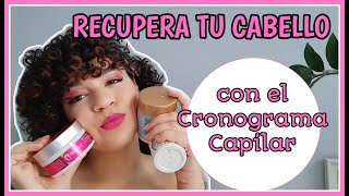 COMO hacer un CRONOGRAMA CAPILAR para CABELLO RIZADO 💯 [upl. by Lowis244]