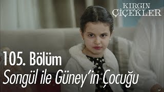 Songül ile Güneyin çocuğu  Kırgın Çiçekler 105 Bölüm [upl. by Arehahs443]