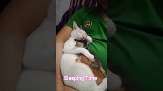 Piku kiki amp koko sleeping ❤️❤️❤️ [upl. by Akinnor]