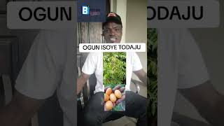 OGUN ISOYE TODAJU [upl. by Campney983]