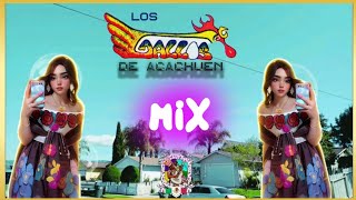 Los Gallos De Acachuen Album Mix [upl. by Weisberg]