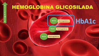 Hemoglobina Glicosilada HbA1c [upl. by Suidaht]