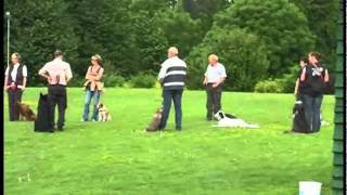 Training auf dem Hundeplatz Balve [upl. by Chappy294]