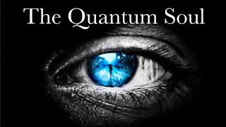 What is CONSCIOUSNESS The Case for the Quantum Soul [upl. by Whiffen302]