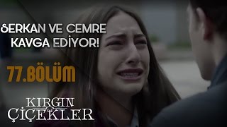 Kırgın Çiçekler 77Bölüm  Serkan ile Cemre’nin Kavgası [upl. by Marquita]