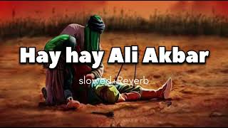 hay hay Ali Akbar noha slowed reverb  hay hay ali akbar noha lofi  AllAzadarivideo [upl. by Earehc990]