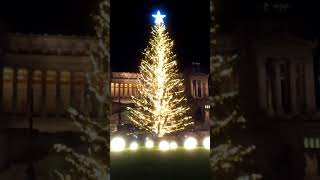 A🎄 Accensione quot Albero di Natale 2017 quot Roma piazza Venezia [upl. by Armanda]