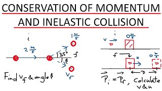 Conservation of Momentum and Inelastic Collisions  Physics [upl. by Ayhdiv]